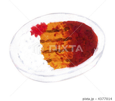 カツカレー 4377014