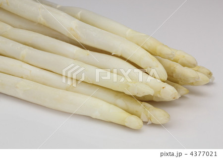 ホワイトアスパラ 4377021