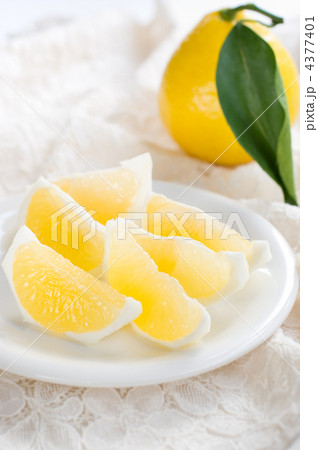 日向夏 日向夏 4377401