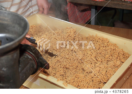 味噌作り　大豆 4378265