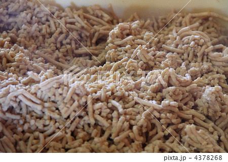 味噌作り　大豆 4378268