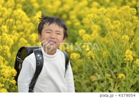 ランドセル 4379054