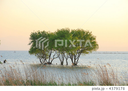 湖北の風景　1 4379178