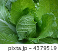 4379519