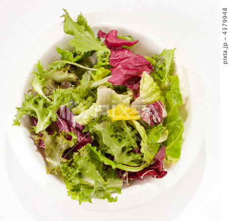 fresh salad 4379948