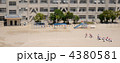 小学校の午後 4380581
