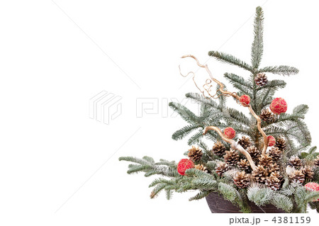 christmas tree christmas tree 4381159