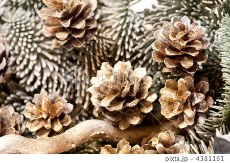 christmas tree christmas tree 4381161