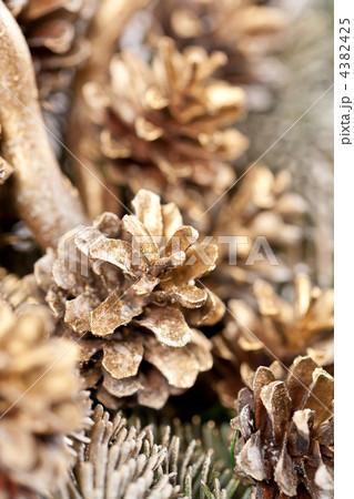 christmas tree 4382425