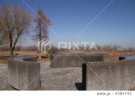 渡良瀬遊水池観鳥台 渡良瀬遊水池観鳥台 4384742