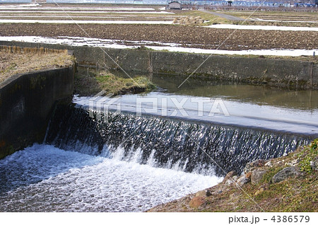 農業用水路　春の用水路　水田用水路 4386579