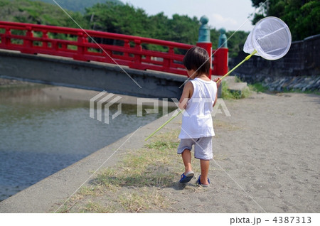 夏の子供 4387313