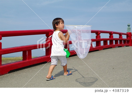 夏の子供 4387319