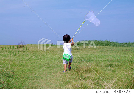 夏の子供 4387328