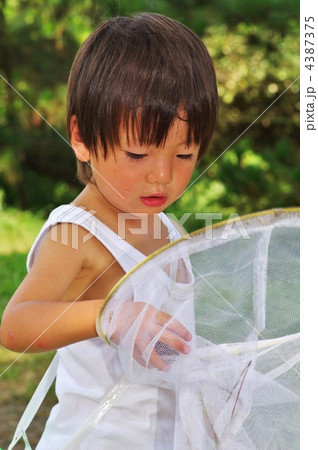 夏の子供 4387375