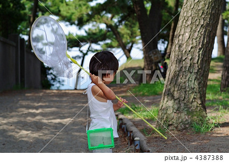 夏の子供 4387388