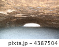 府中市白糸台 掩体壕（えんたいごう） 4387504