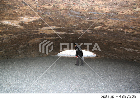 府中市白糸台 掩体壕（えんたいごう） 4387508