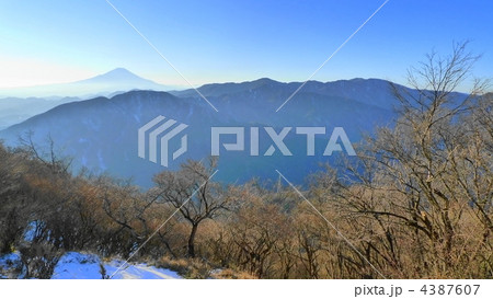 大山から見た富士と丹沢主峰群 4387607