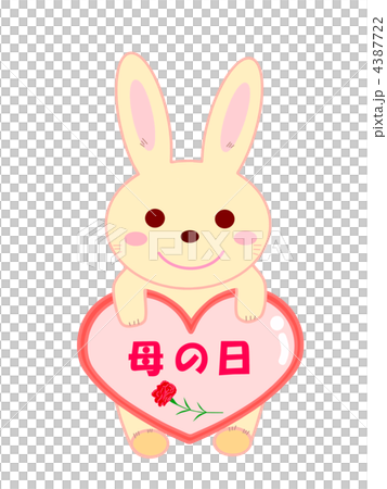 母の日 4387722
