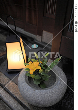 水鉢に百合 4388149