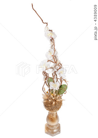 nice flowers 4389009