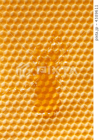 fresh honey in comb 4389611