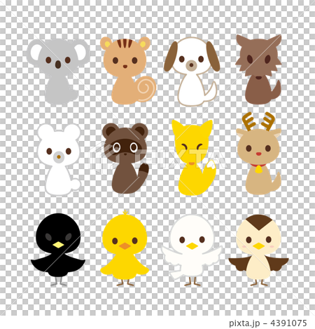 12 types of animal birds 4391075