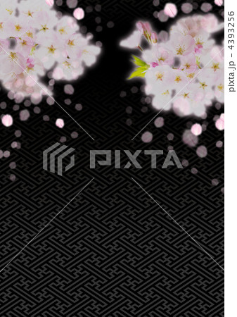夜桜 4393256