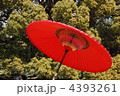 4393261