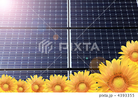 ヒマワリとソーラーパネル 4393355