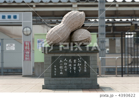 千葉県八街市八街駅の落花生のモニュメント 4393622