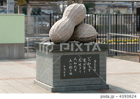 千葉県八街市の落花生のモニュメントの写真素材 [4393624] - PIXTA