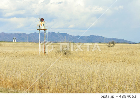 渡良瀬遊水地 渡良瀬遊水地 4394063
