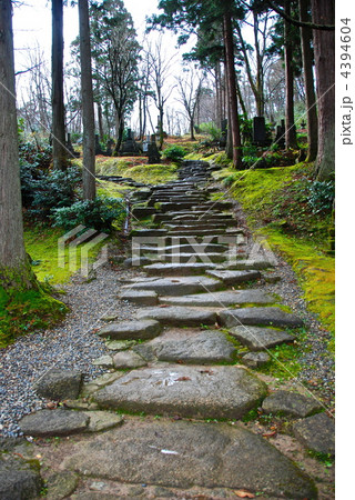 墓地へ続く道(林泉寺/新潟県上越市) 墓地へ続く道(林泉寺/新潟県上越市) 4394604