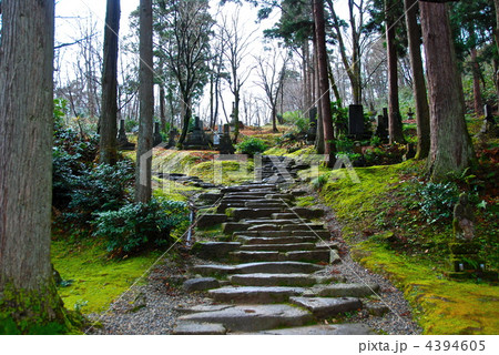 墓地へ続く道（林泉寺／新潟県上越市） 4394605