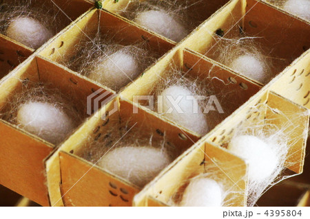 まゆ まゆ 4395804