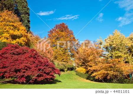 Beautiful rural landscape 4401101