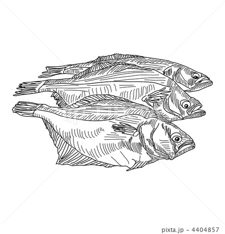 vector drawing hand fish vector drawing hand fish 4404857
