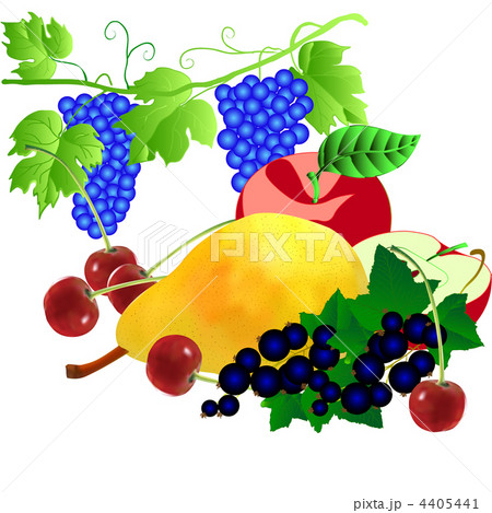 set of fruits set of fruits 4405441