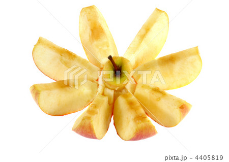 cut apple 4405819