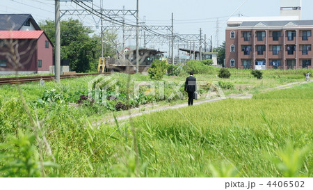 スーツ姿の若い男性 スーツ姿の若い男性 4406502