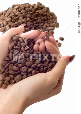 Female hands and coffee beans 4406727