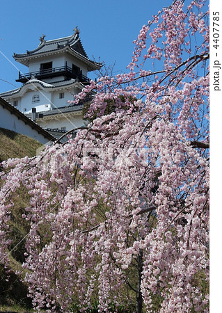 春の掛川城 春の掛川城 4407785