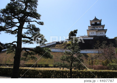 春の掛川城 春の掛川城 4407787