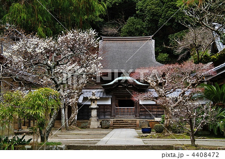 鎌倉・円覚寺 国宝・舎利殿 鎌倉・円覚寺 国宝・舎利殿 4408472