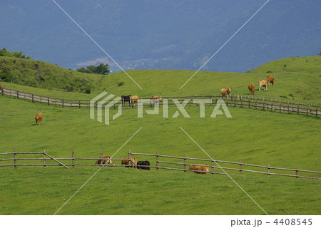 木の柵が音符のような阿蘇の牧場 4408545