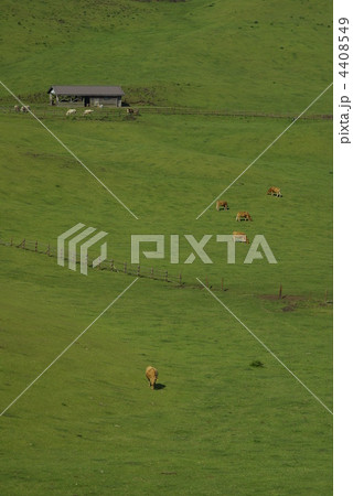 牧場小屋と緑の草原 4408549