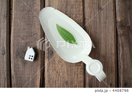 ホウロウトレーの上に浮かぶパキラの葉と家のミニチュア 4408796