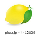 フレッシュなレモンと葉 4412029